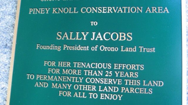 plaque