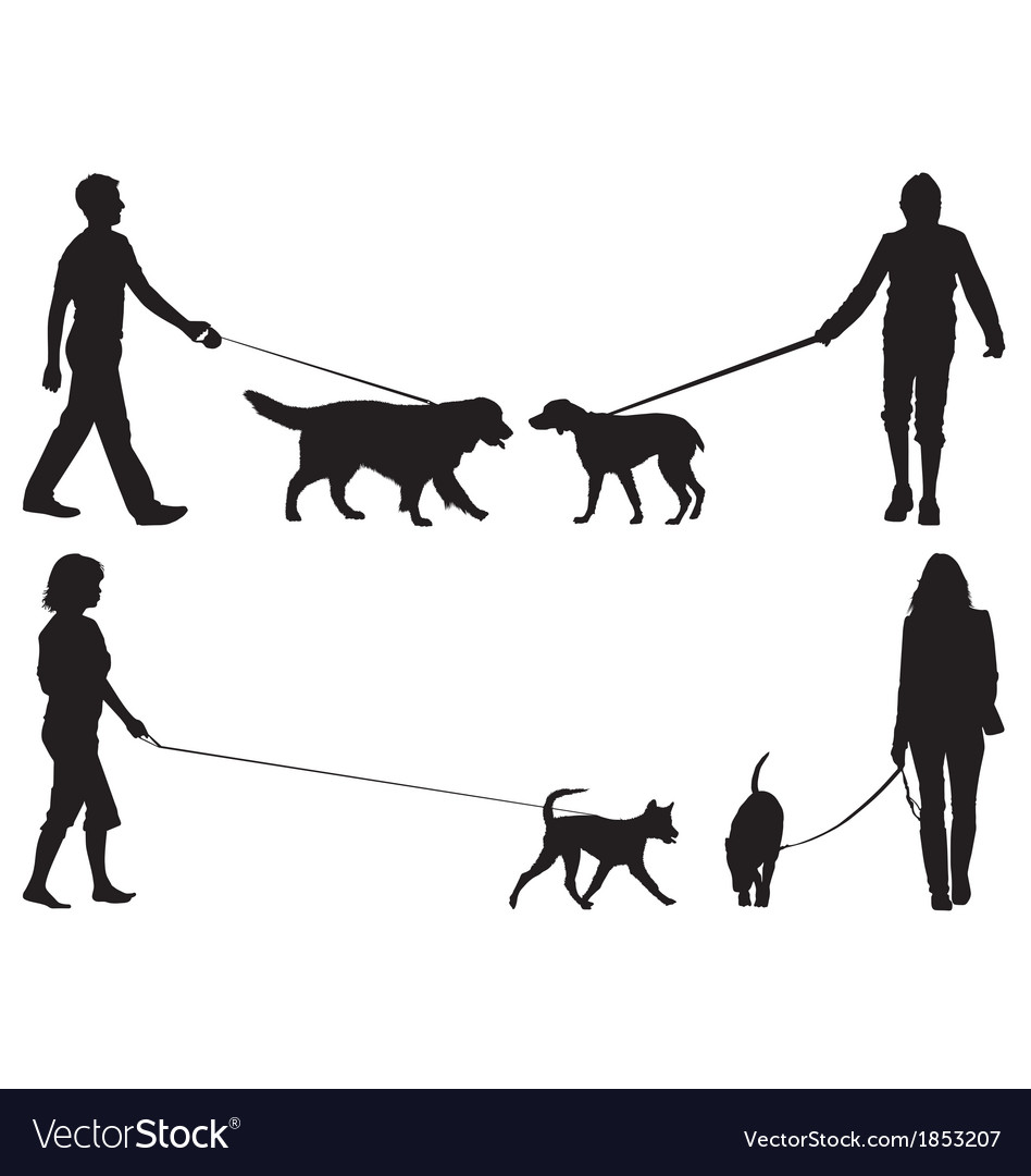 Update To Dog Policy For Stillwater River Trail • Orono Land Trust