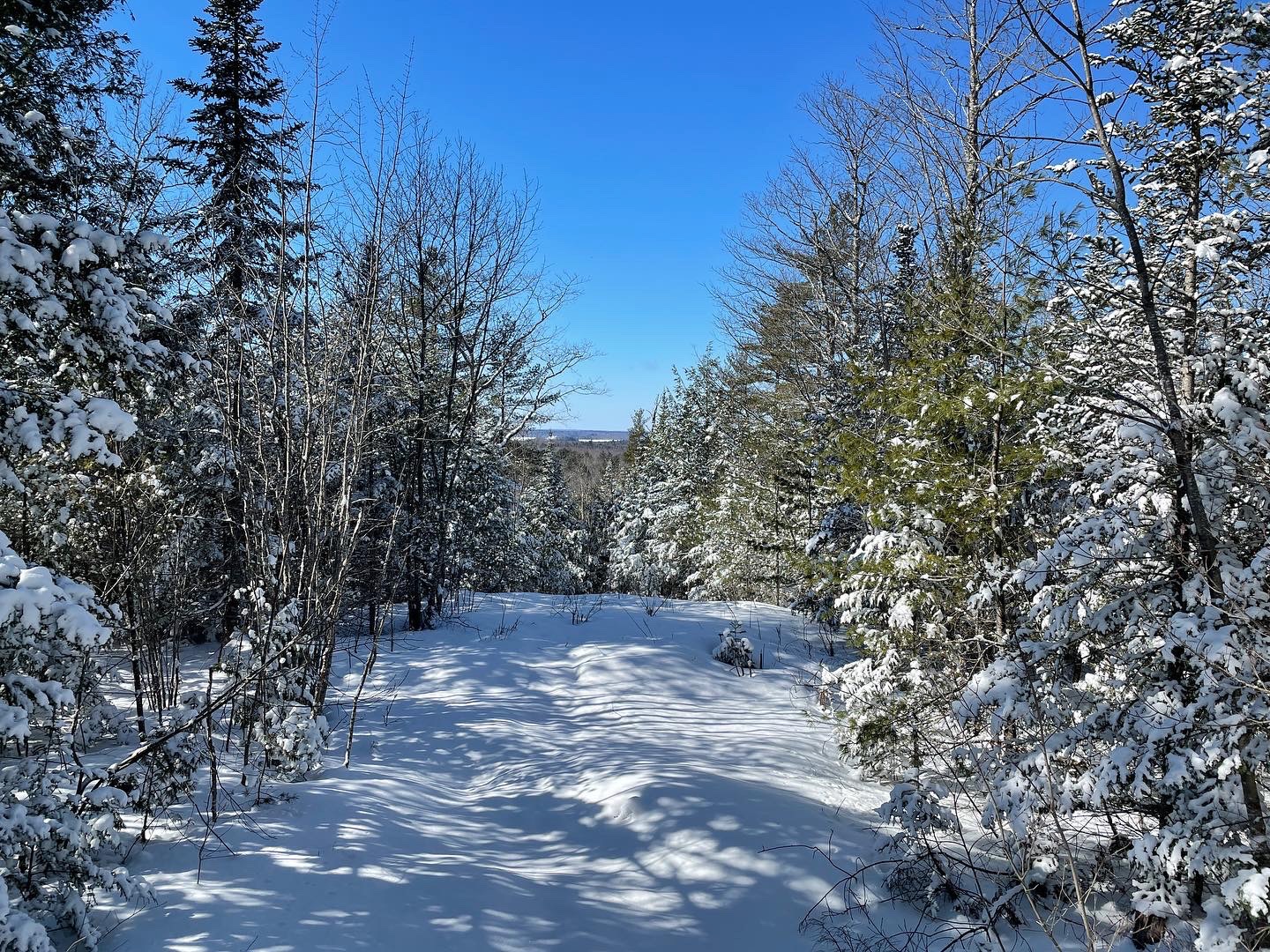 An image of the snow covered top of Newman Hill, managed by Orono Land Trust 