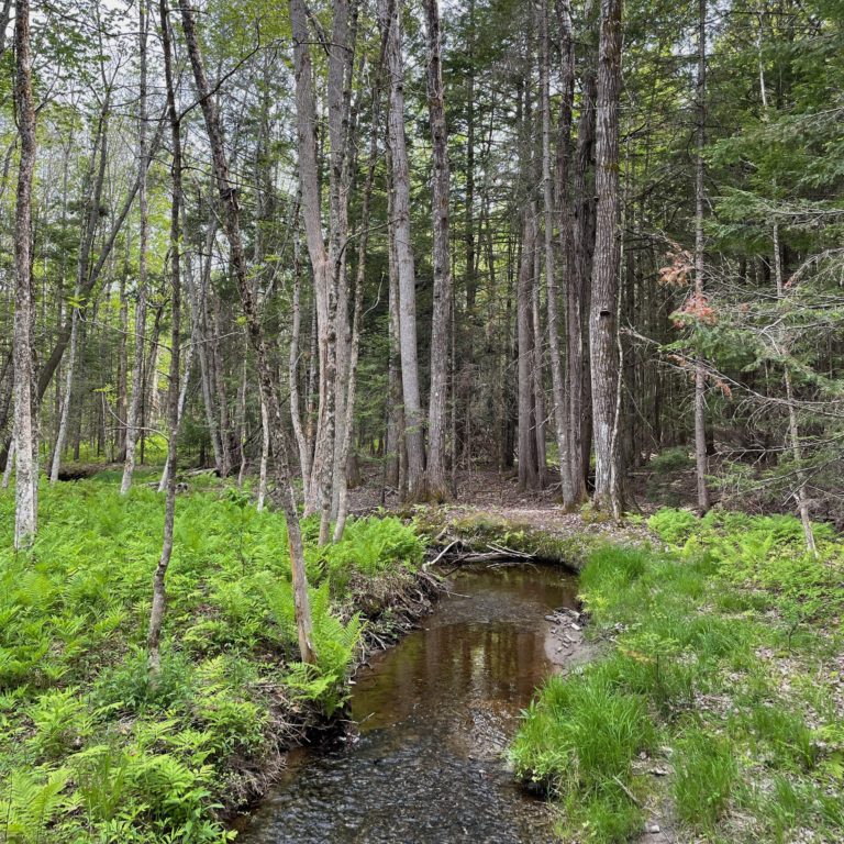 Orono Land Trust • Home